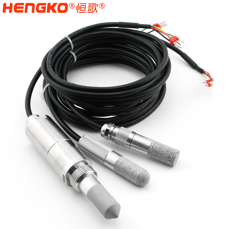 恒歌-便攜式露點廠家探頭-DSC_5704