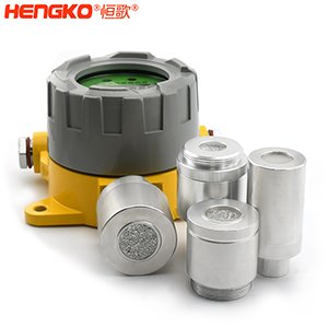 氣體檢測(cè)儀表-DSC_9385