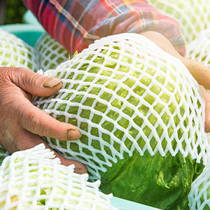 生鮮冷鏈物流，溫濕度監(jiān)控可不能忽視！