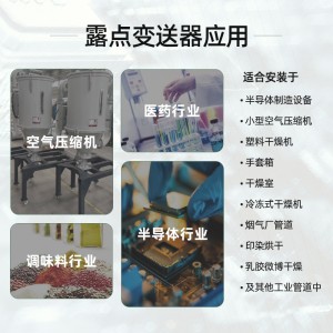 可低至-60℃ 測量的OEM露點變送器